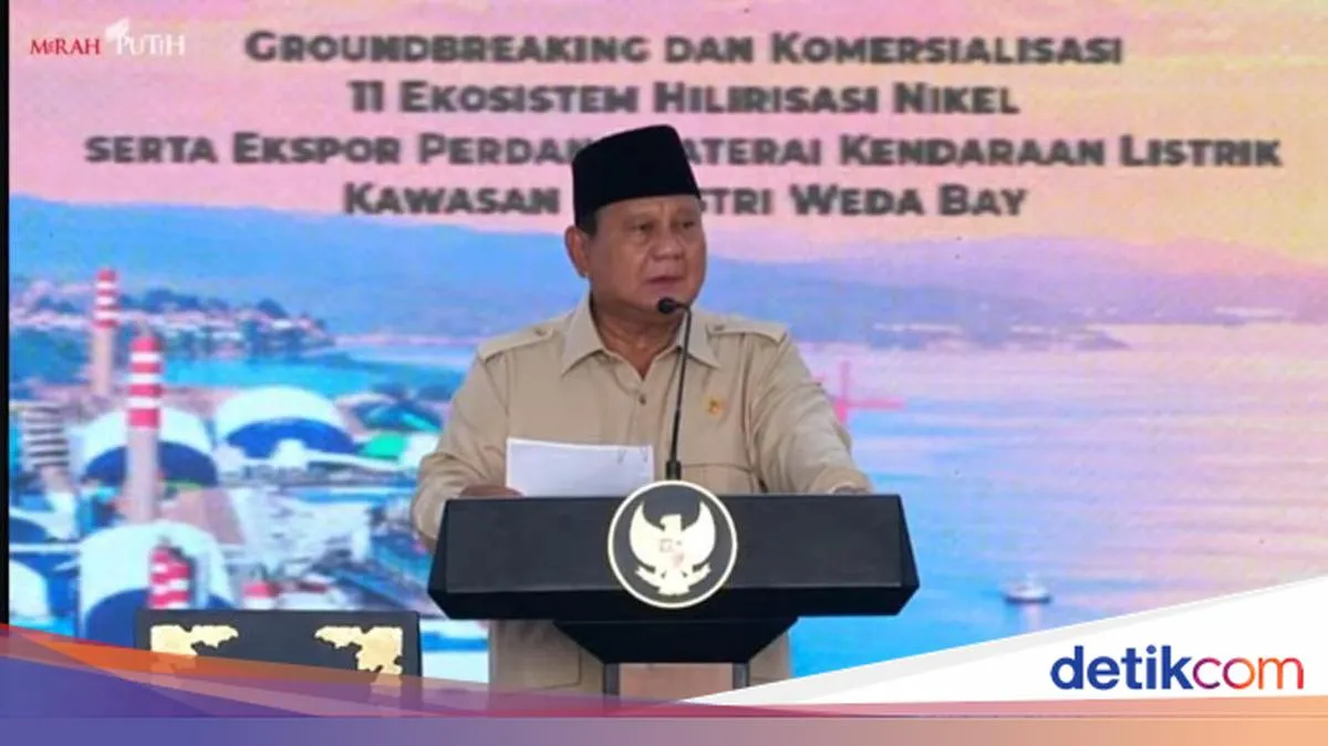 detikNews