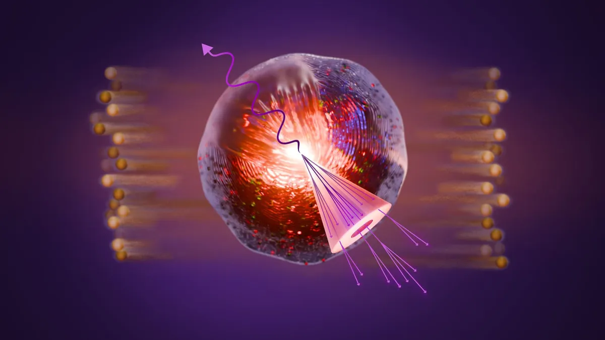 Live Science