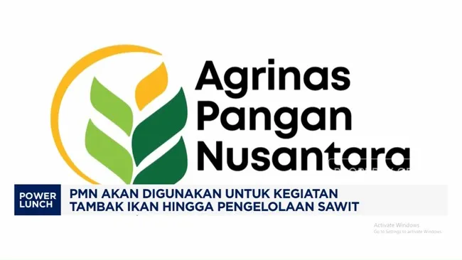 Pemerintah Bentuk Agrinas dari Merger Tiga BUMN Karya, Fokus Pangan, Perkebunan, dan Perikanan