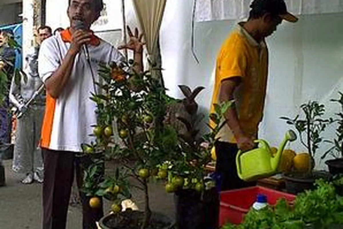 Bawang Putih hingga Tembakau Puntung Rokok, Cara Praktis Membuat Pestisida Alami dari Dapur