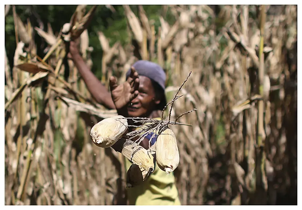 Substitusi Impor Bahan Baku Mamin Dinilai Harus Dimulai dari Penguatan Produksi Hulu