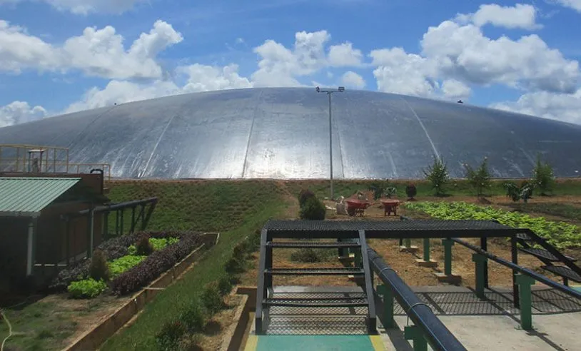 Kementerian ESDM Dorong Bio-CNG sebagai Pengganti LPG untuk Industri dan Bahan Bakar Transportasi