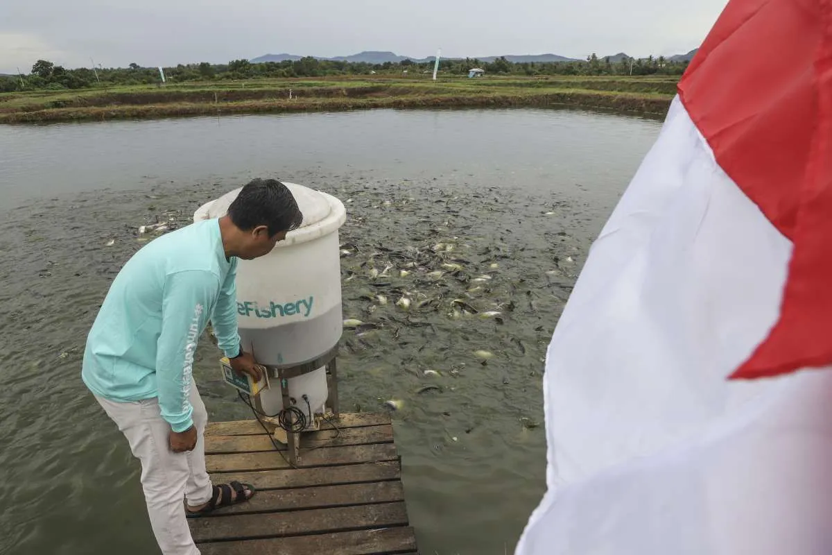 Investasi Startup Digital Indonesia Turun Tajam, Tekanan Target Untung Disorot