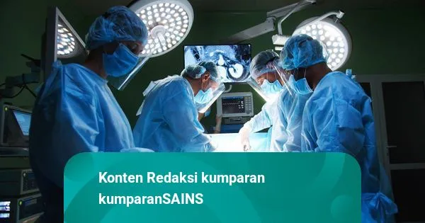Kasus Penyakit Kritis Naik pada 2023, Kemenkes Catat Hampir 30 Juta: Ini Langkah Pencegahan dan Proteksi Finansial