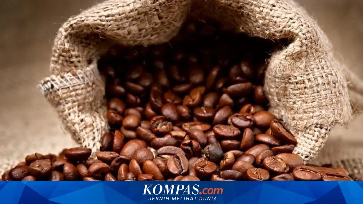 Cara Membedakan Kopi Murni dan Kopi Oplosan dari Aroma hingga Rasa