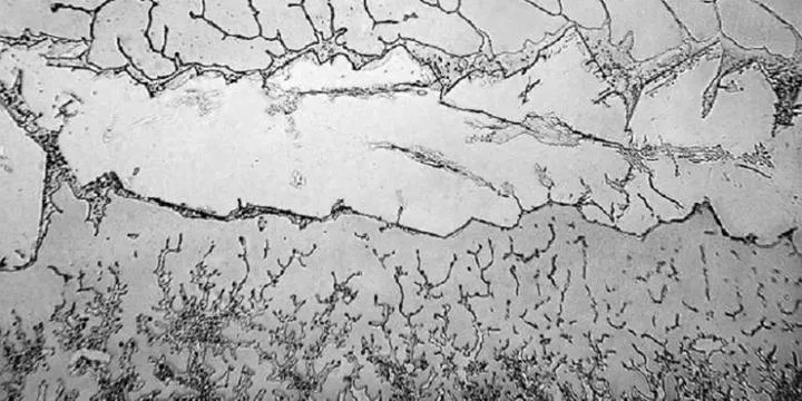 Proyek Foto Mikroskopis Ungkap Perbedaan Air Mata Sedih dan Bahagia