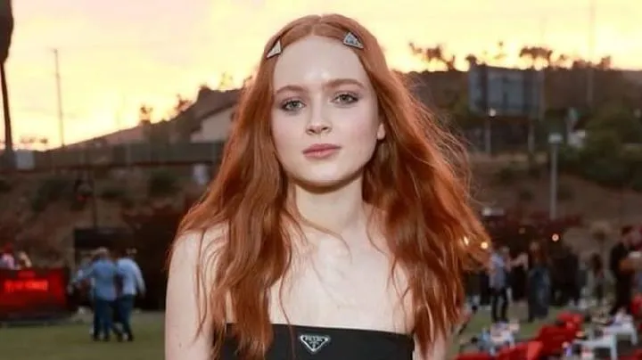 Sadie Sink Dikabarkan Bergabung di Spider-Man 4, Ini Deretan Film dan Serial yang Mengangkat Namanya