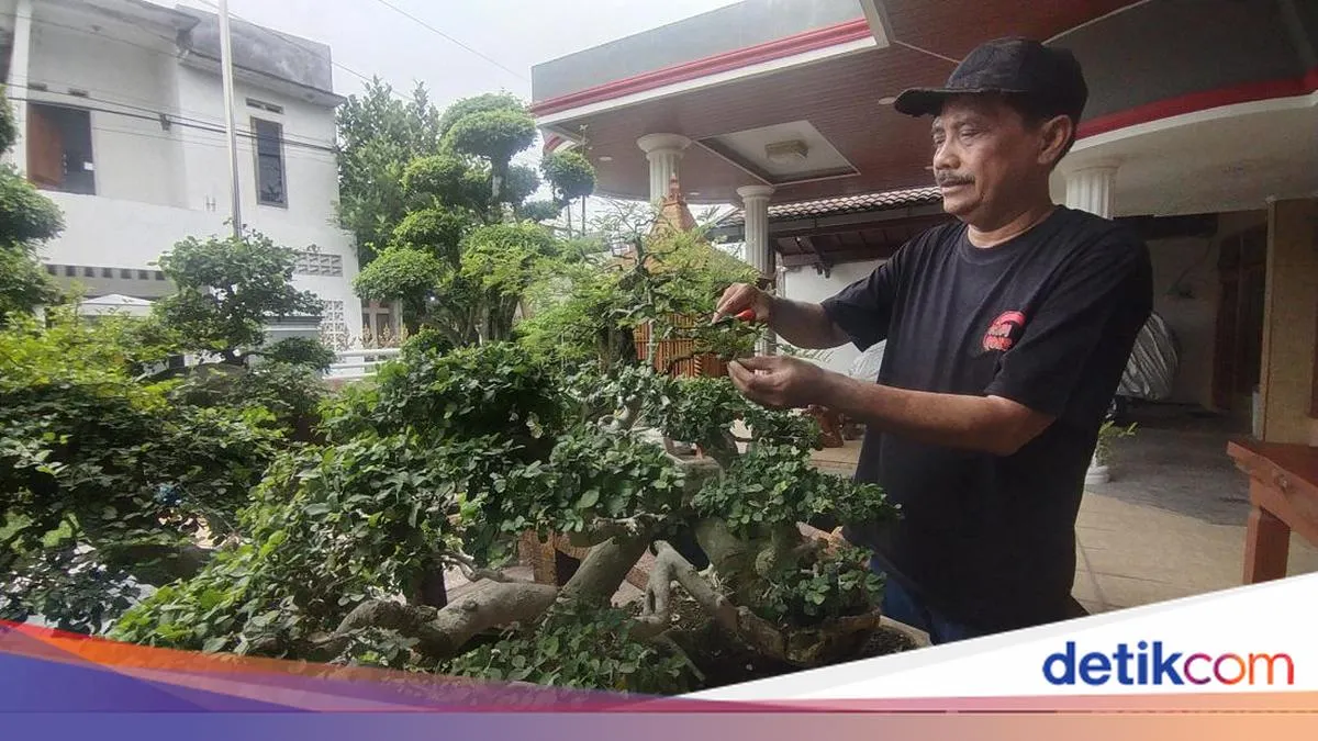 Ngabuburit, Politik, dan Bonsai: Ketika Ketua DPRD Nganjuk Menemukan Hening di Tengah Riuh Kekuasaan