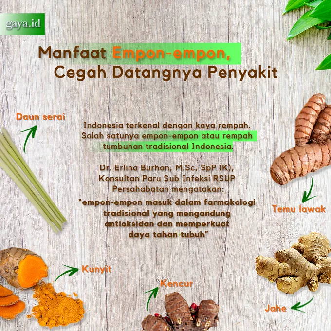 Dokter Jelaskan Manfaat Empon-empon dan Batasannya Terkait Covid-19
