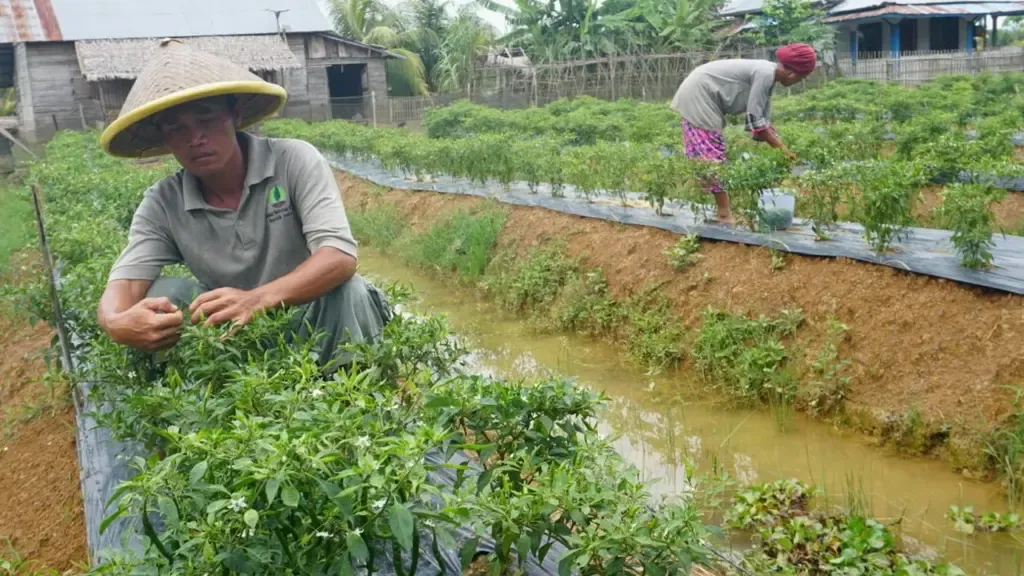 Sumsel Siap Revisi RTRW untuk Perkuat Perlindungan Gambut dan Mitigasi Bencana Hidrometeorologi