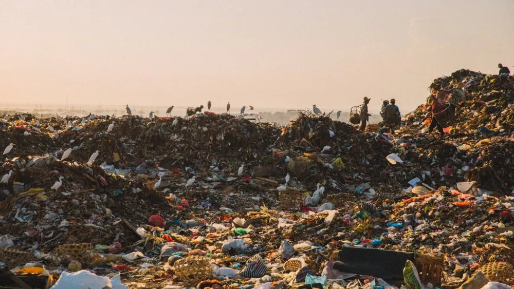 Ulasan “Pulau Plastik”: Menelusuri Dampak Plastik Sekali Pakai, Mikroplastik, dan Klaim “Ramah Lingkungan”