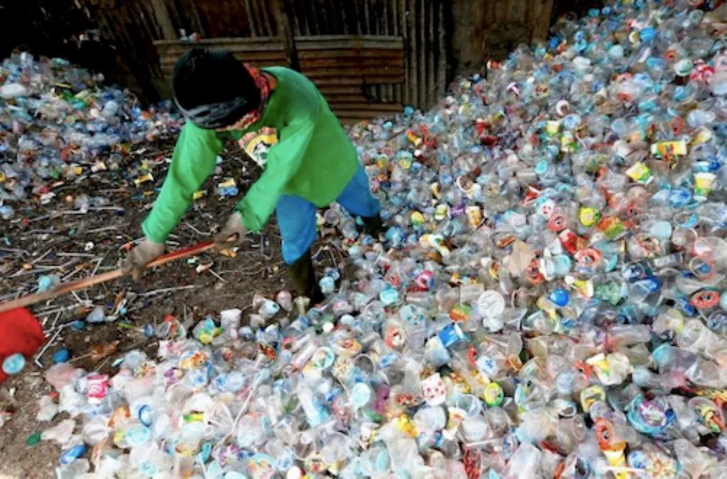 Pemerintah Didorong Terapkan Tata Kelola Sampah Sirkular di Tengah Timbulan 38,4 Juta Ton per Tahun