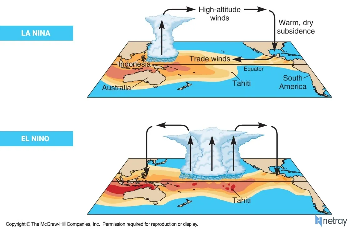 El Nino dan La Nina: Dampaknya terhadap Cuaca, Pertanian, dan Risiko Bencana di Sulawesi Tengah