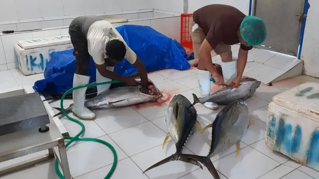 Pengembangan Korporasi Nelayan Berbasis Koperasi Modern Dinilai Perlu Dipercepat