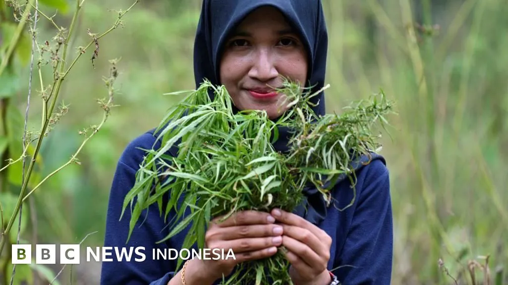 BNNP Aceh Awasi Makanan yang Diduga Mengandung Ganja, Pelaku Kuliner Minta Mekanisme Jelas