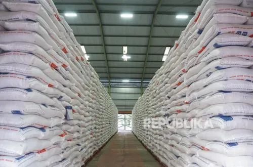 BPS: Ekspor Beras April 2025 Hanya 60 Kg, Impor Januari–April Capai 119,10 Ribu Ton