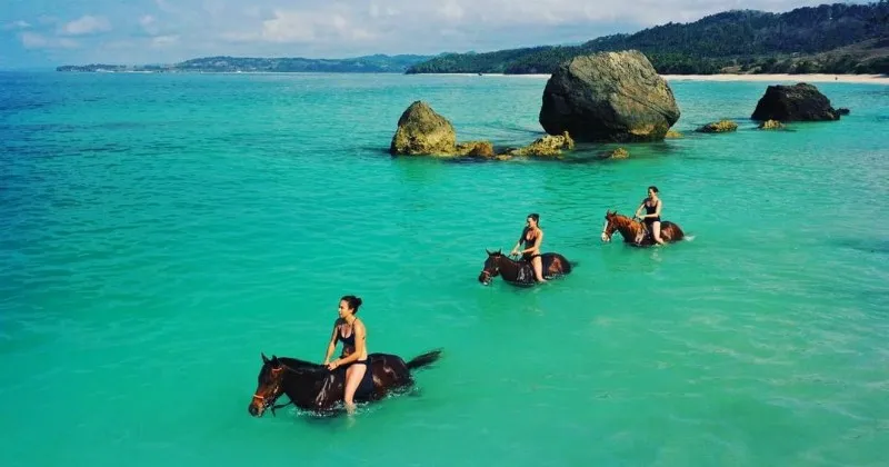 Pakar Psikologi Politik UI Menilai Klaim Kemenangan Prabowo Berpotensi Mengarah pada Delusi