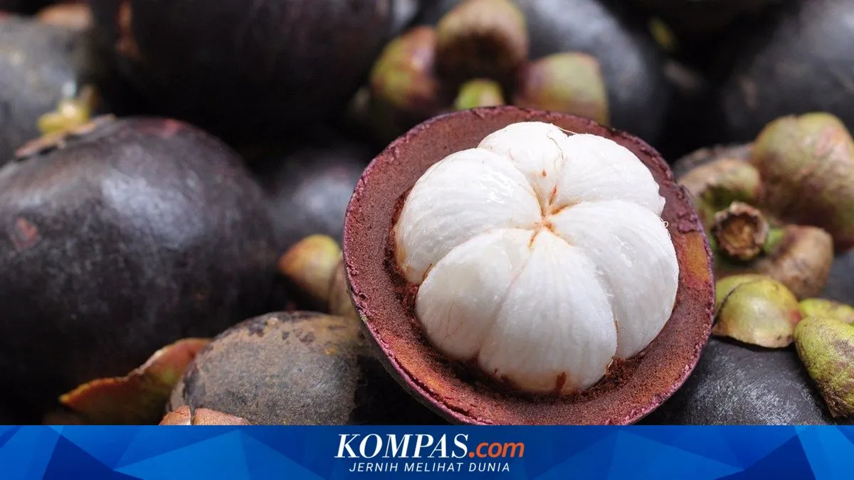 Lima Cara Memilih Manggis Manis dan Banyak Isinya, Hindari Kulit Terlalu Mulus