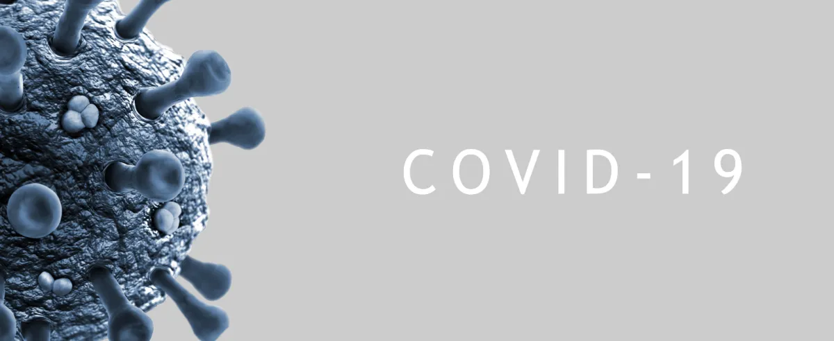 Pandemi Covid-19 dan Upaya Pencegahan: Dari Pembatasan Sosial hingga Adaptasi Layanan dan Pendidikan