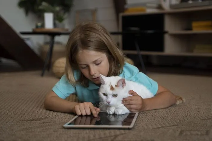 Penelitian Ungkap Manfaat Menonton Video Kucing: Bikin Bahagia hingga Bantu Perbaiki Suasana Hati