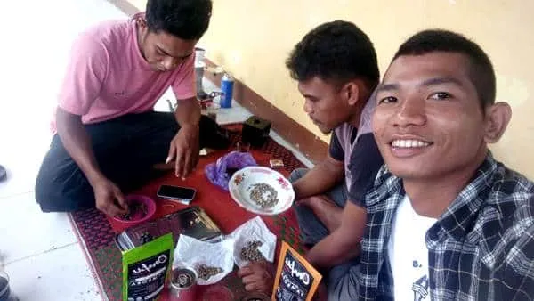 Kopi Tambora dan Pentingnya Kualitas: Dari Kebun Petani hingga Edukasi di Cangkir