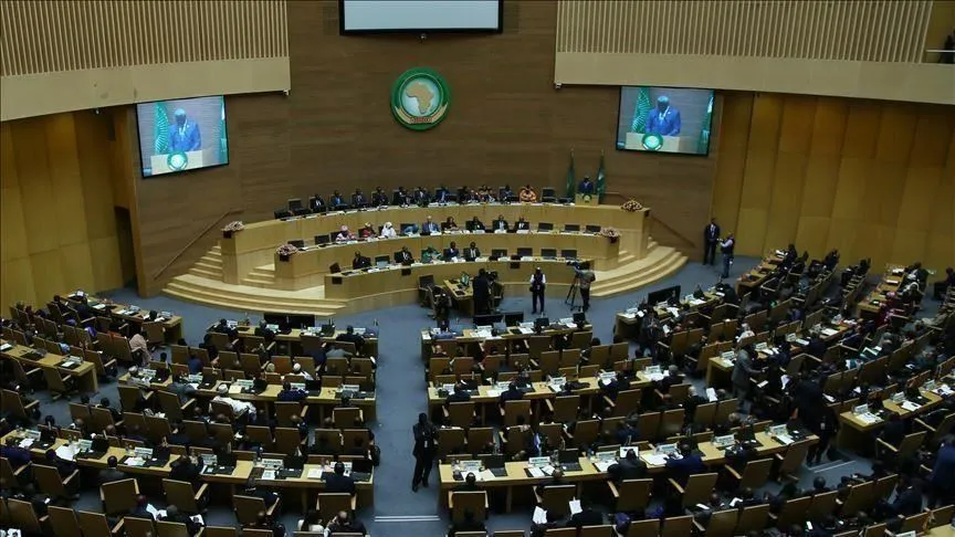 Menlu Turki: Solidaritas dengan Afrika Kian Penting di Tengah Pandemi