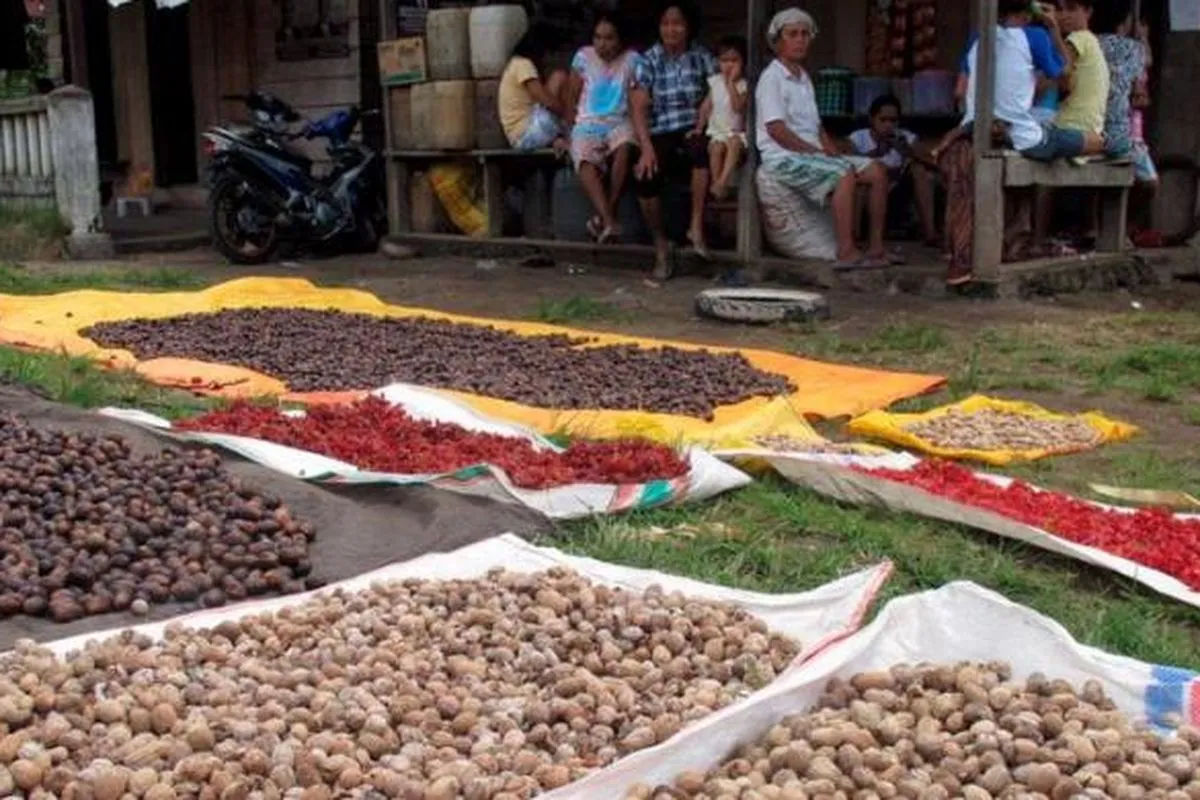 Rempah-Rempah Jadi Pemicu Kedatangan Bangsa Eropa ke Nusantara