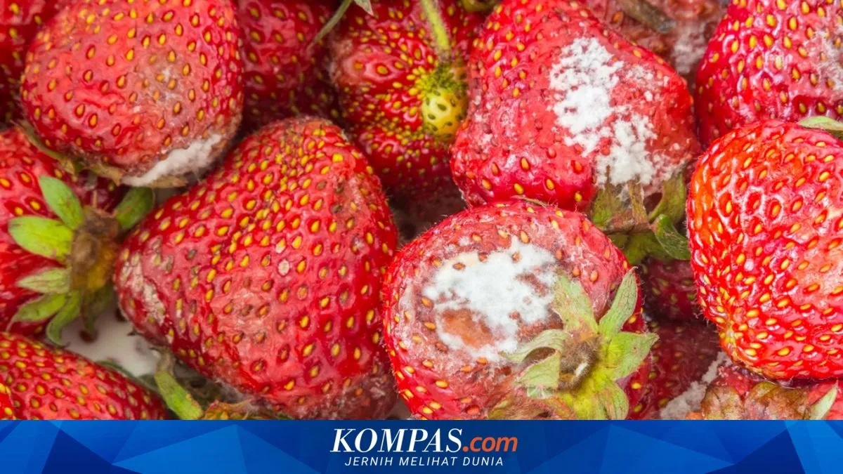 Penelitian: Rasa Jijik Berperan Melindungi Tubuh dari Patogen dan Infeksi