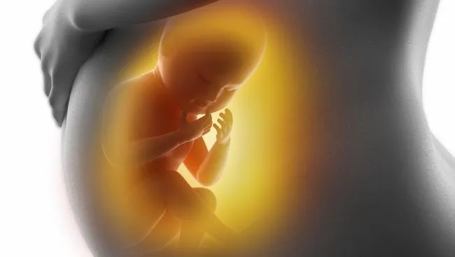 Perempuan di Prancis Melahirkan pada Usia Kehamilan 29 Minggu, Bayi Ditemukan Menempel di Organ Perut