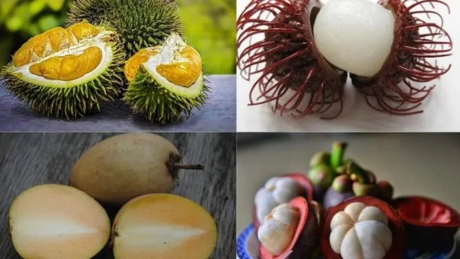 Kalender Musim Buah Lokal di Indonesia: Panduan Menikmati Buah Segar dari Januari hingga Juni