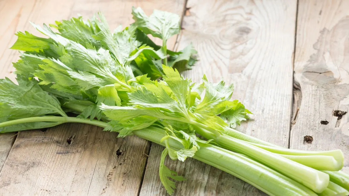 Bahan Dapur yang Disebut Dapat Membantu Menurunkan Kolesterol