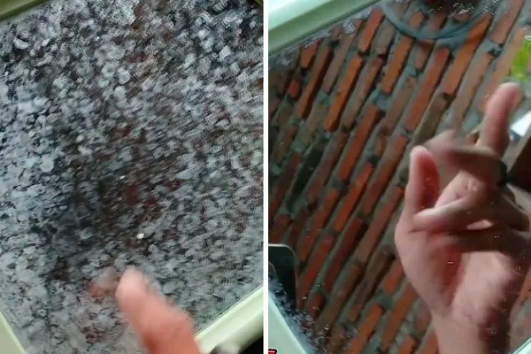 Trik Praktis Membersihkan Jamur di Kaca Kamar Mandi dengan Tambahan Satu Bahan Dapur