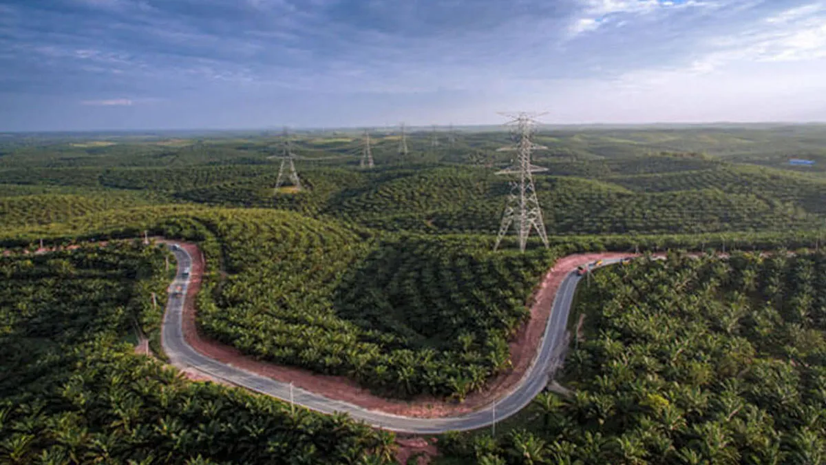 Perkembangan Industri Minyak Sawit di Thailand, Kolombia, dan Nigeria