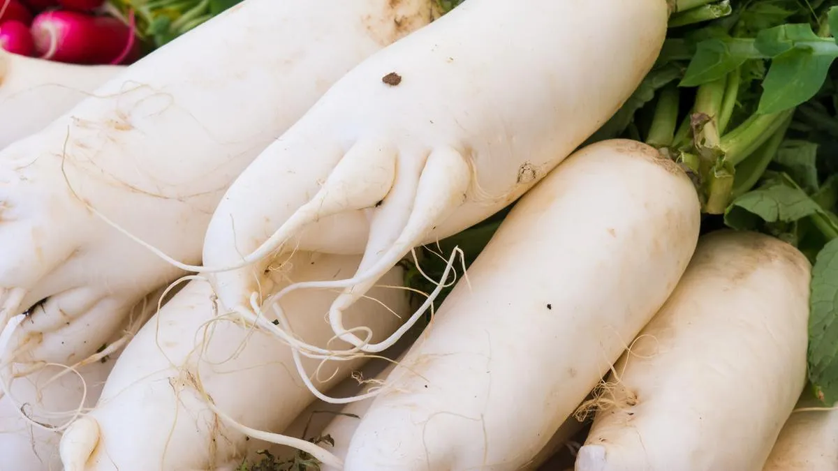 Trik Mengolah Lobak agar Tidak Pahit: Kupas Lebih Dalam, Cuci di Air Mengalir, hingga Rendam Baking Soda