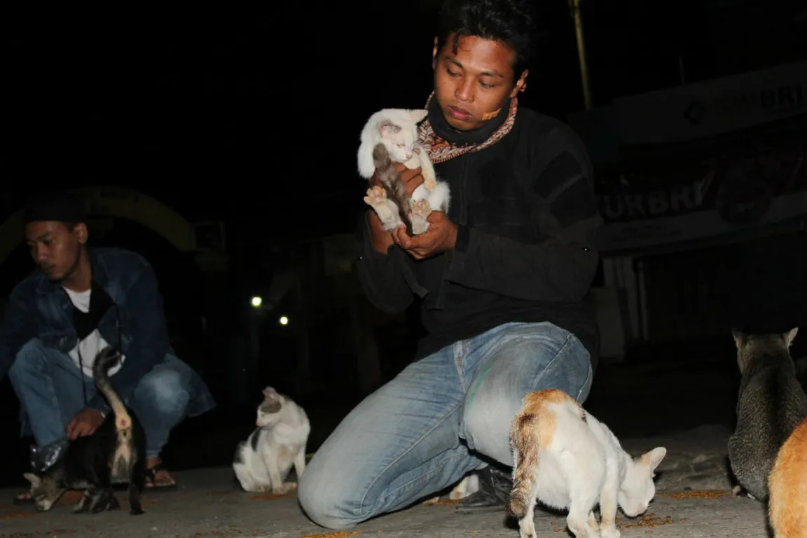 Tri Martono, Penjaga Perumahan di Semarang yang Rutin Keliling Pasar Memberi Makan Kucing Liar