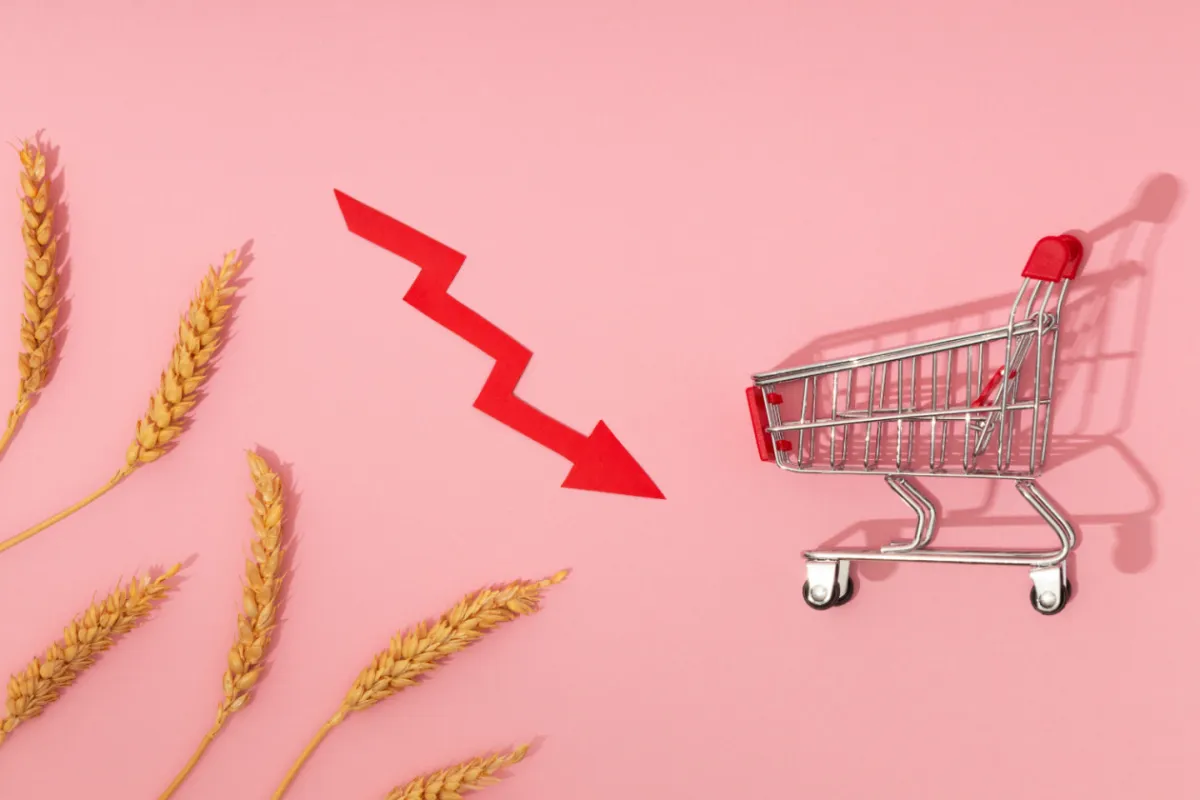 Belanja Lebaran 2025 Melambat, Ekonom UGM Soroti Turunnya Daya Beli dan Risiko ke UMKM