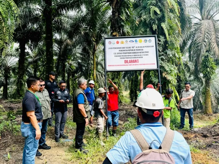Satgas PKH Catat Kebun Sawit Tanpa Izin di Kawasan Hutan yang Disita Capai 1 Juta Hektare