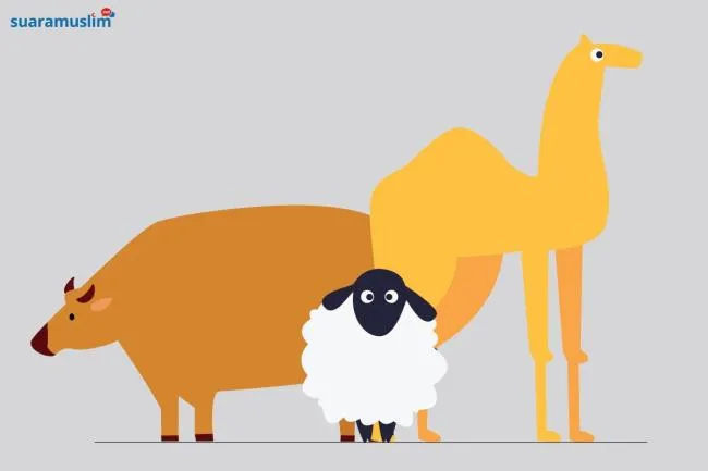 Jual Beli Hewan Kurban dan Pajak: PPh Berlaku, PPN Dikecualikan