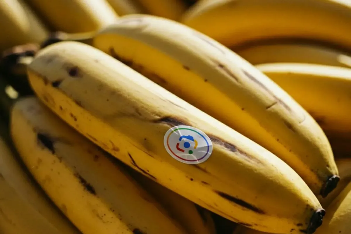 Google Search di Indonesia Tambahkan Fitur Pengeditan Gambar AI Nano Banana
