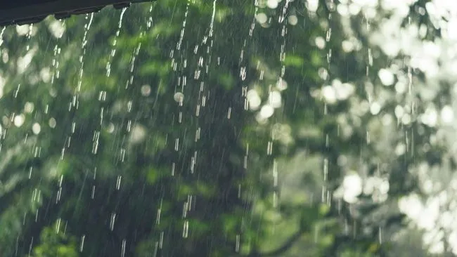 BRIN Temukan Mikroplastik dalam Air Hujan Jakarta, Ini Arti Hujan Mikroplastik dan Potensi Dampaknya