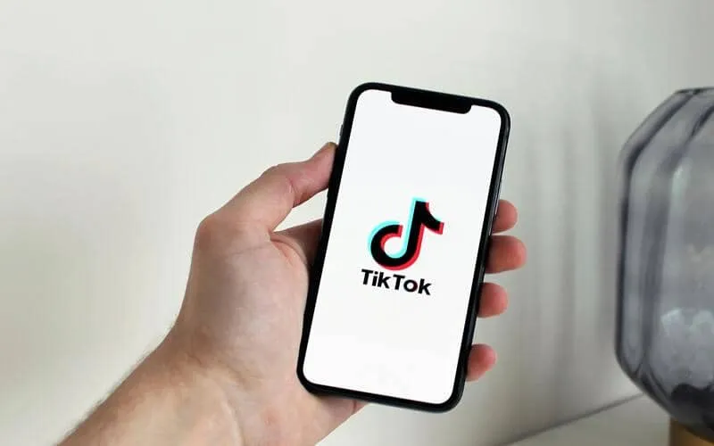 Tujuh Tren Konten TikTok yang Diprediksi Viral pada 2026