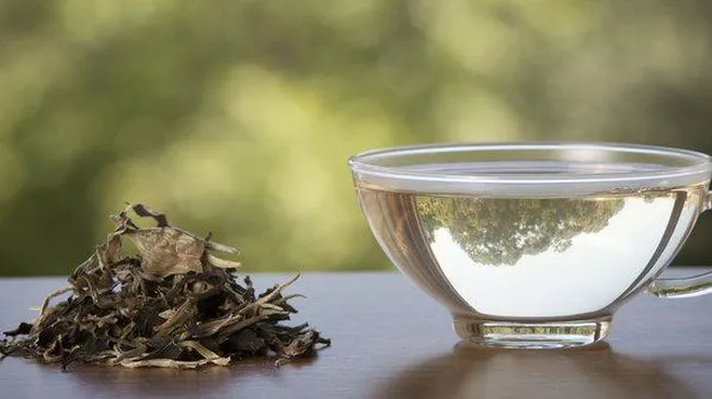 Deretan Teh Termahal di Dunia, Harga Disebut Tembus Rp 19 M dan Pohonnya Tinggal Enam