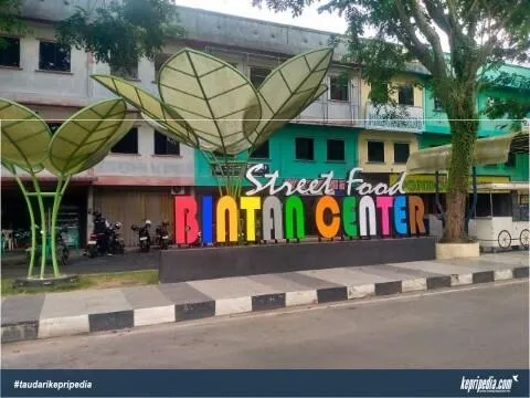 Proyek Street Food Kuliner Bintan Center Senilai Rp3,115 Miliar Dilaporkan Terbengkalai