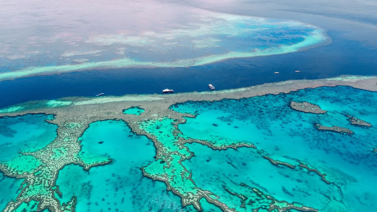 Penelitian: Laut Terlalu Tenang Percepat Kerusakan Great Barrier Reef Australia