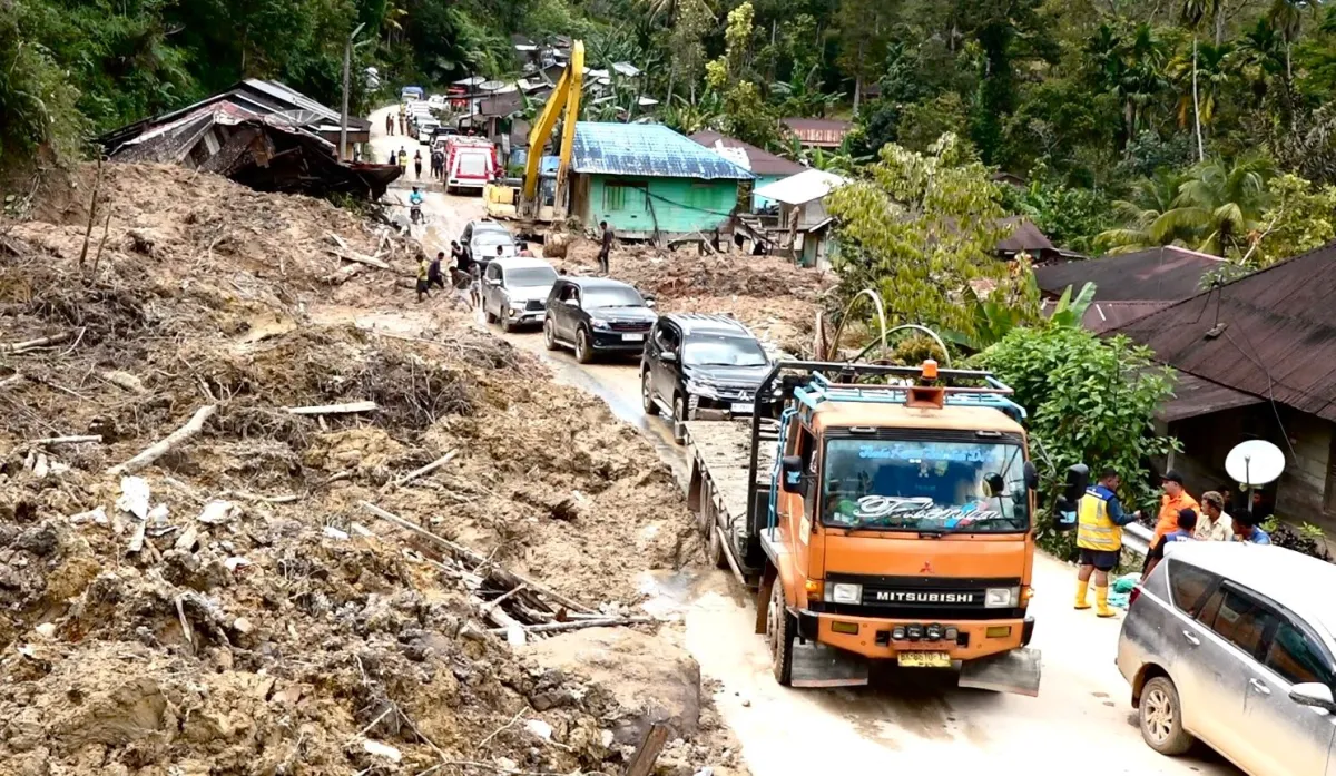 Pemerintah Evaluasi Tata Ruang dan Audit Perusahaan di Sumatera Usai Bencana, Akademisi Desak Penegakan Hukum