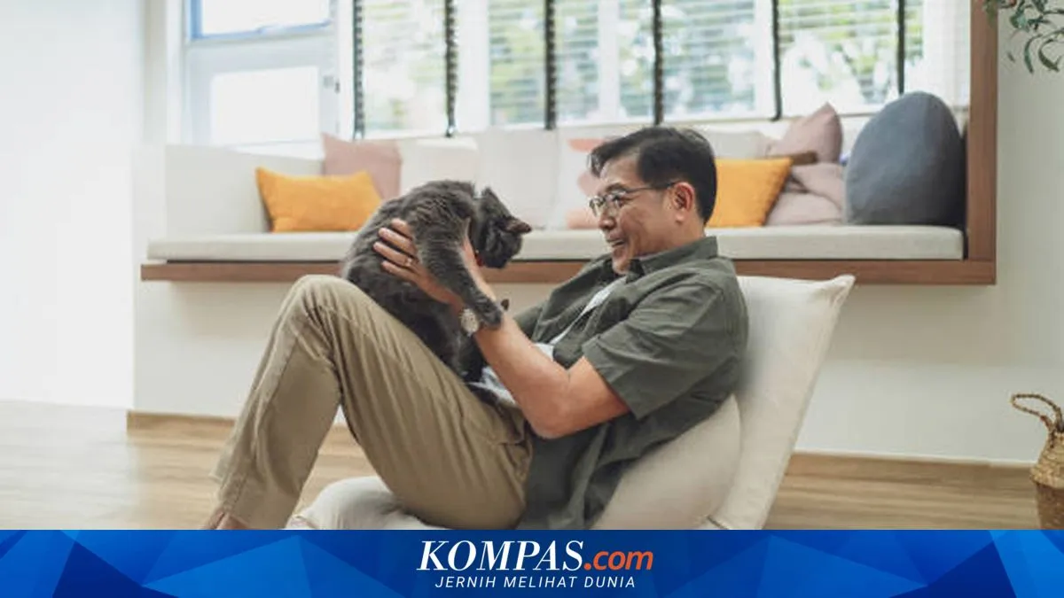 Sembilan Cara Sederhana Menunjukkan Rasa Sayang kepada Kucing Peliharaan