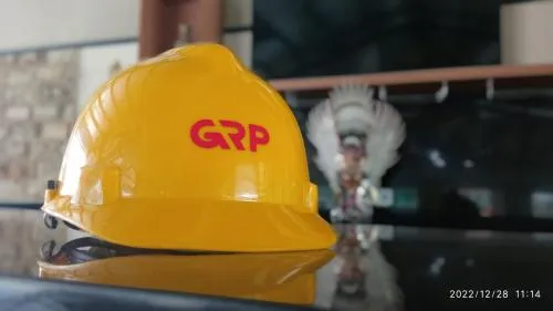 Gunung Raja Paksi Ubah Status dari PMDN Menjadi PMA Setelah RUPSLB