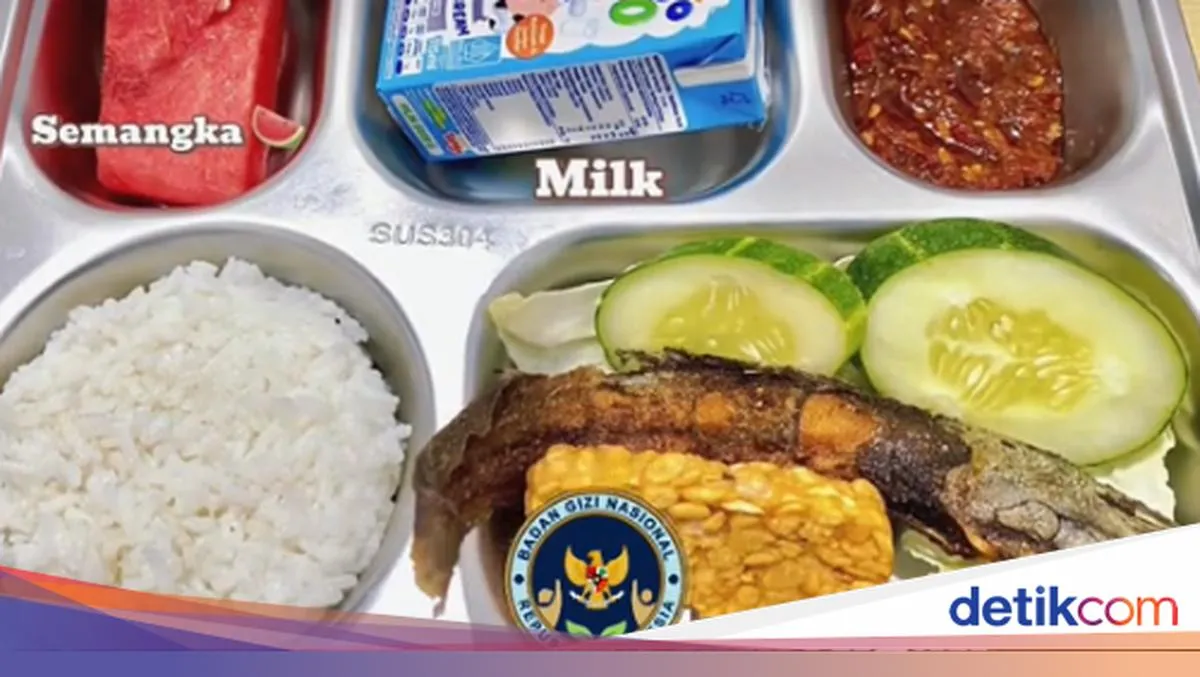 Deretan Menu Program Makan Bergizi Gratis yang Dibagikan Akun SPPG di TikTok
