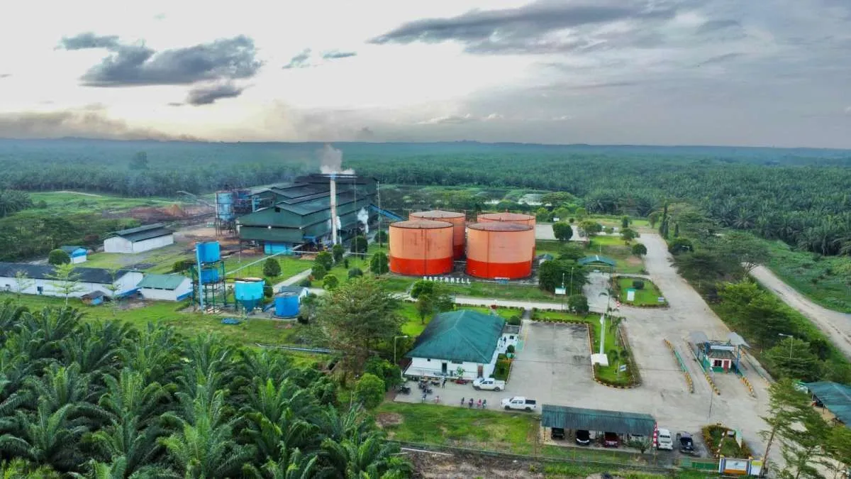 Sentimen La Niña Bayangi Pasokan CPO, Pergerakan Harga dan Saham Perkebunan Jadi Sorotan