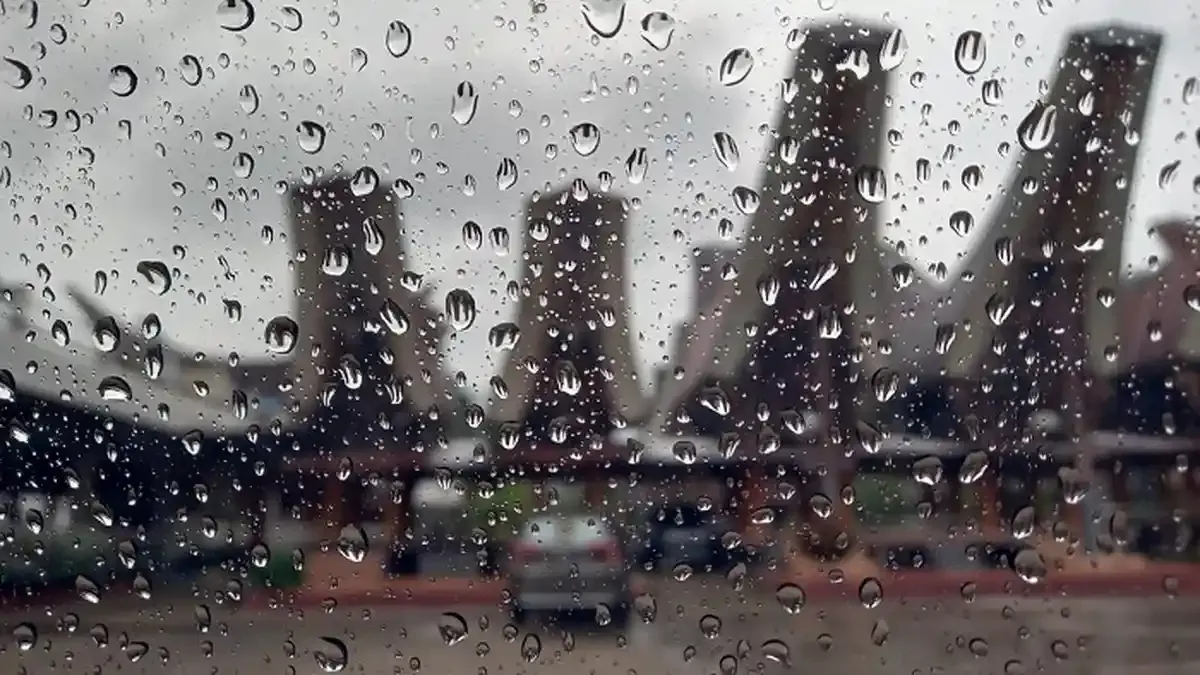 Tren Viral Menuang Eco Enzyme ke Jalan Saat Hujan, Warganet Pro-Kontra Manfaatnya